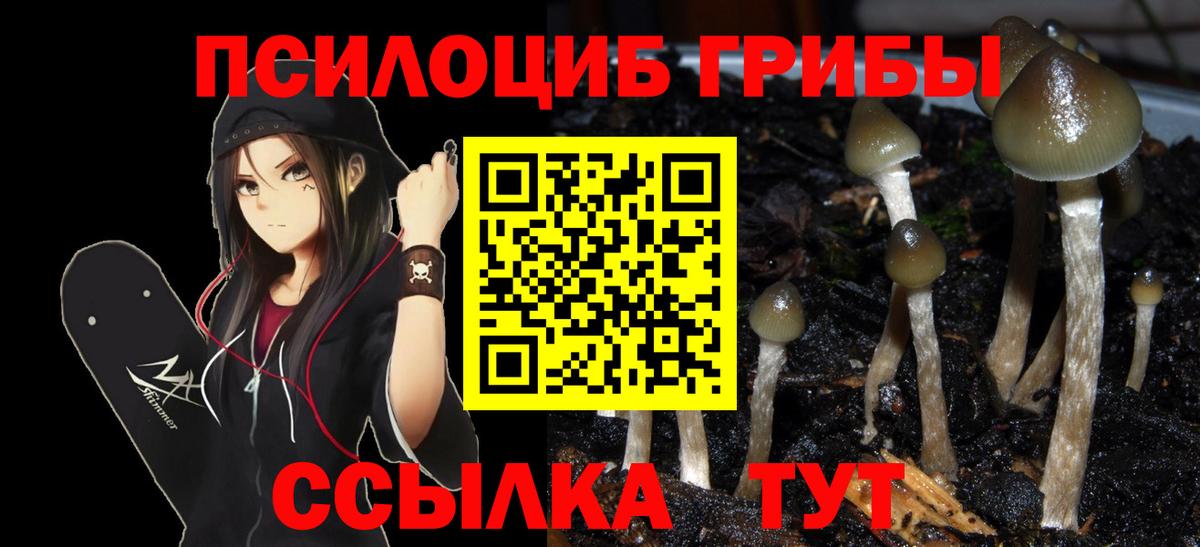 Галлюциногенные грибы мицелий Якутск